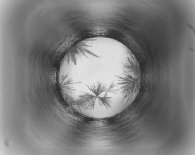 X0000102300652200808152019