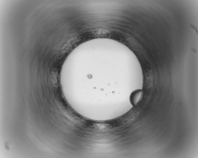 X0000102300654200808152019