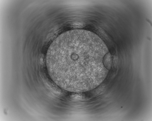 X0000102300655200808152019