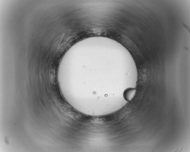 X0000102300656200808152019