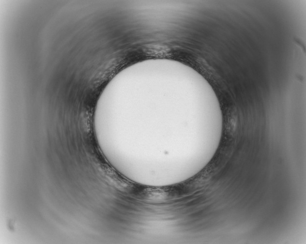 X0000102300658200808152019