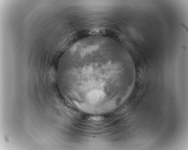 X0000102300659200808152019