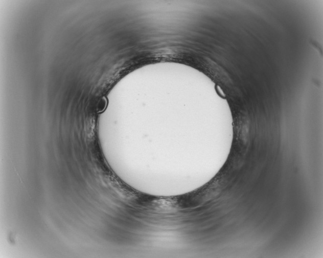 X0000102300660200808152019