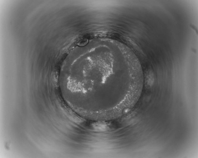 X0000102300661200808152019