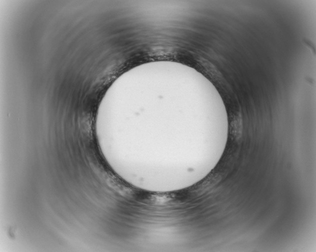 X0000102300662200808152019