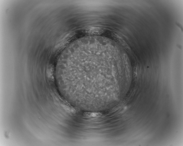 X0000102300663200808152019