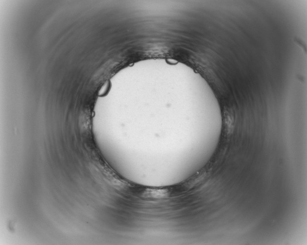 X0000102300665200808152019
