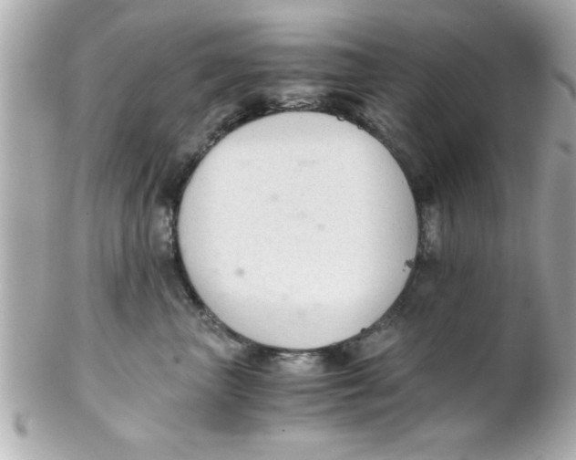 X0000102300667200808152019