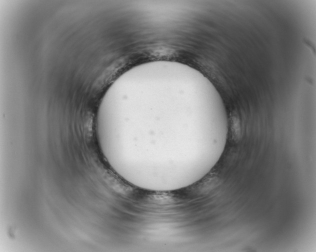 X0000102300668200808152019