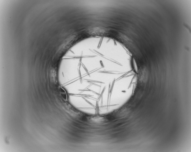 X0000102300669200808152019