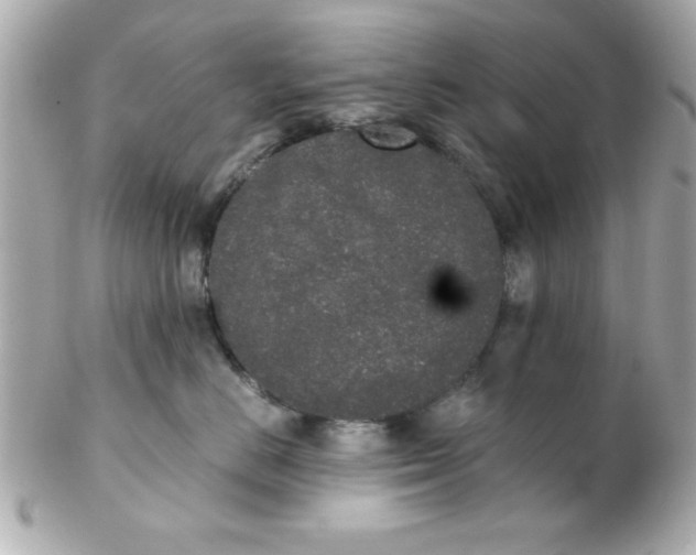 X0000102300670200808152019