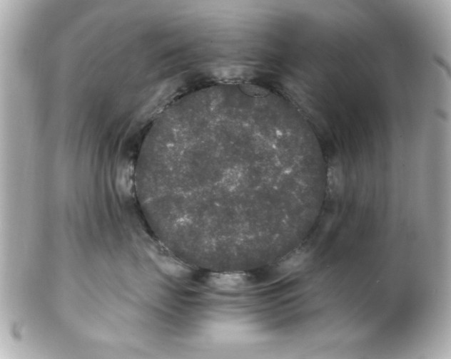 X0000102300671200808152019