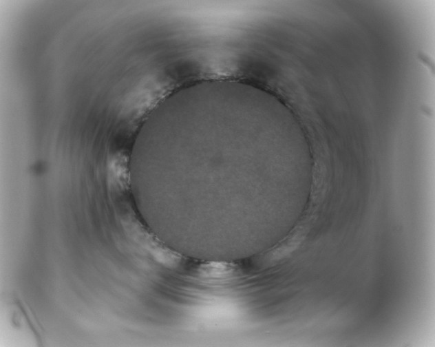 X0000102300672200808152019