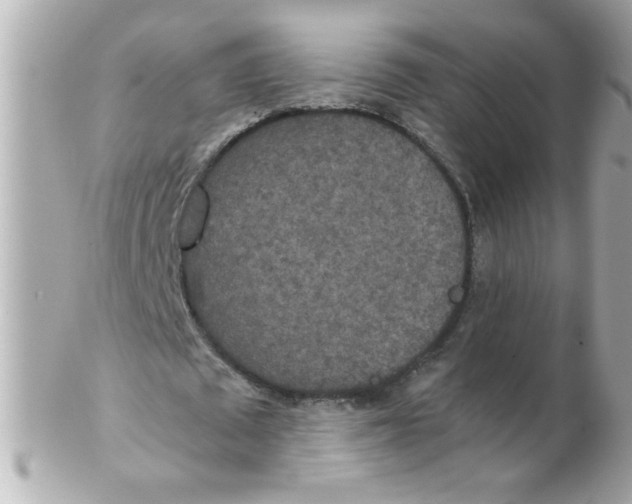 X0000102300673200808152018