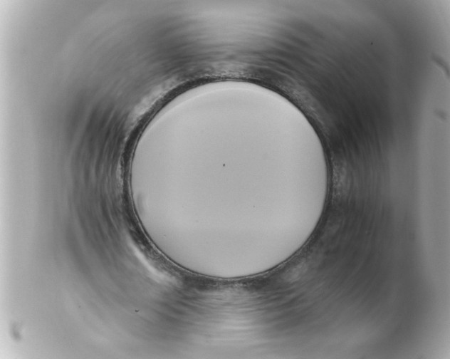 X0000102300674200808152018