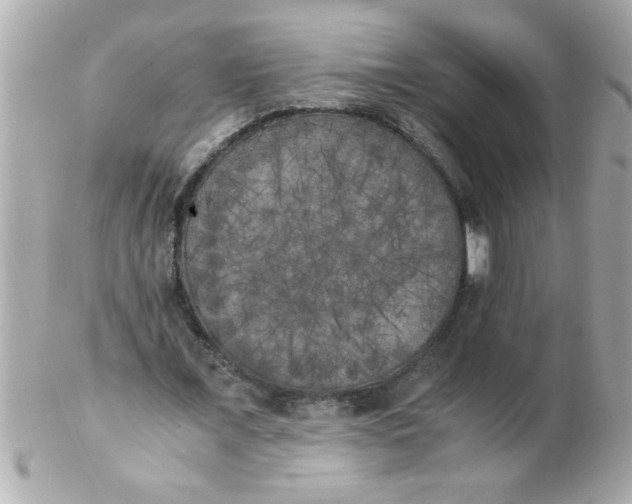 X0000102300675200808152018