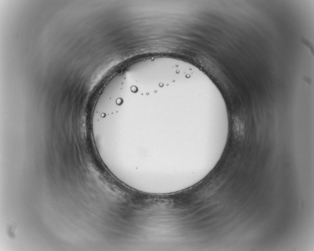 X0000102300676200808152018