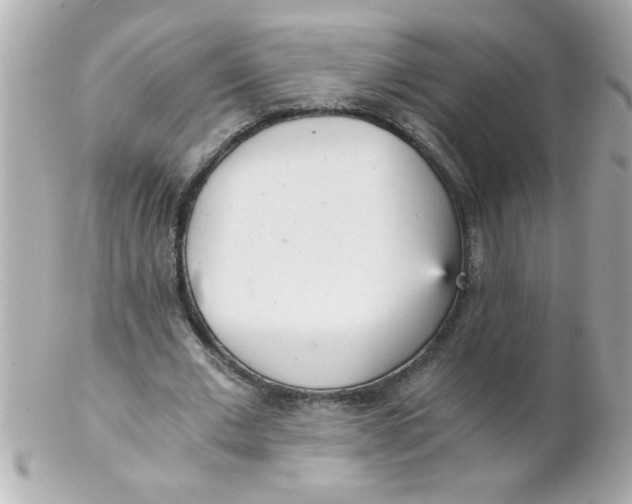 X0000102300677200808152018