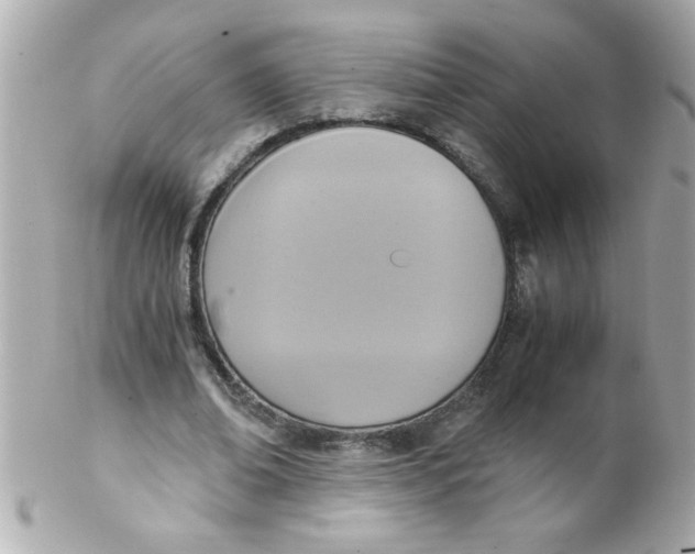 X0000102300678200808152018