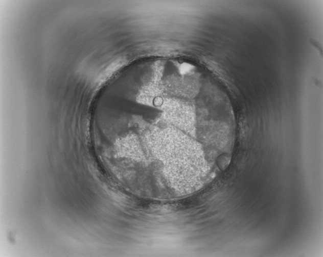 X0000102300679200808152018