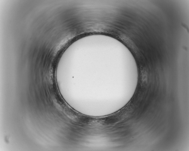 X0000102300680200808152018