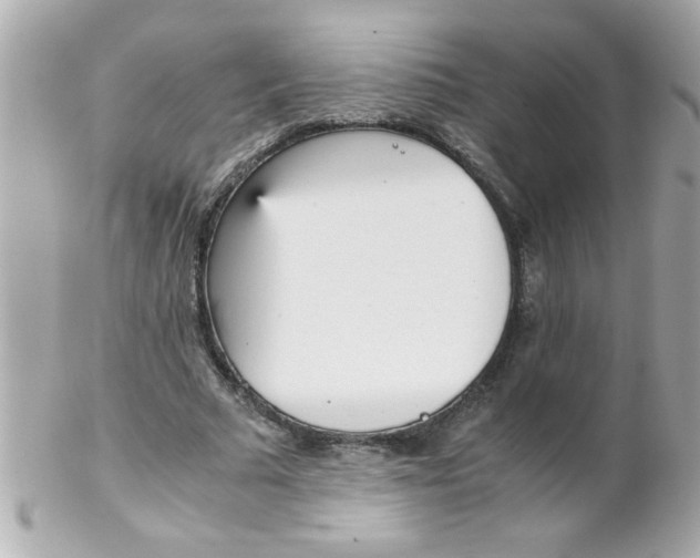 X0000102300681200808152018