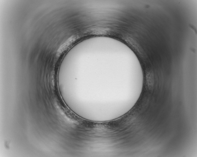 X0000102300682200808152018