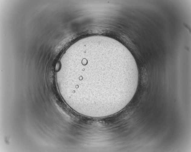 X0000102300683200808152018
