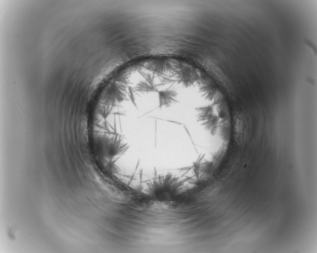X0000102300684200808152018