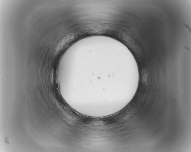 X0000102300685200808152018