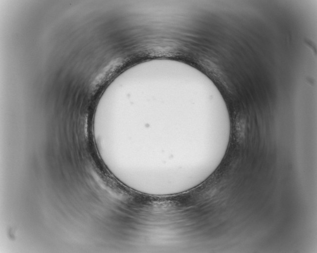 X0000102300686200808152018