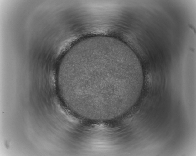 X0000102300688200808152018