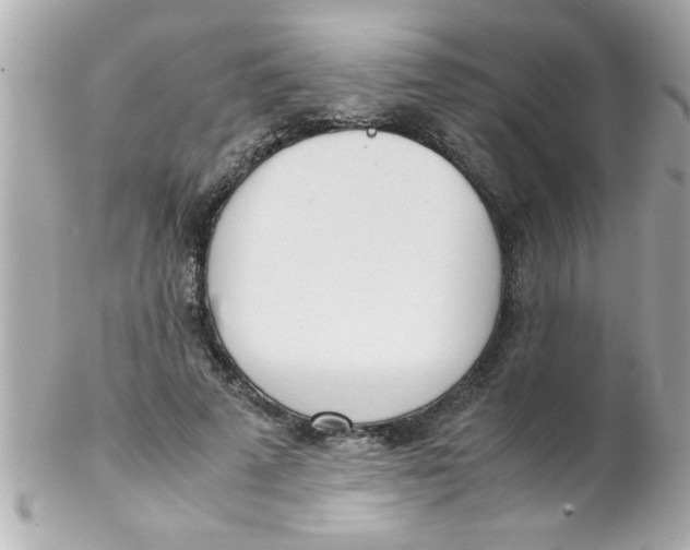 X0000102300689200808152018