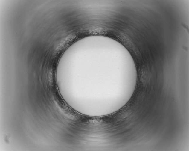 X0000102300690200808152018