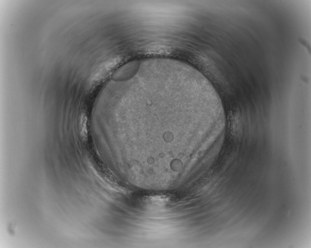 X0000102300692200808152018