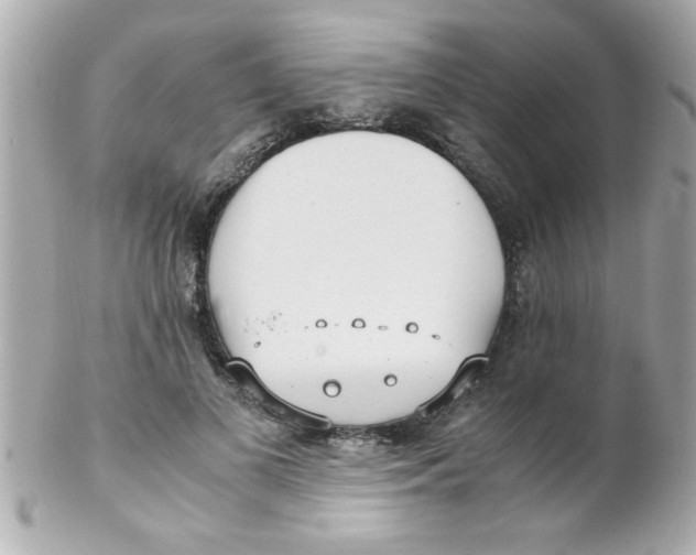 X0000102300693200808152018