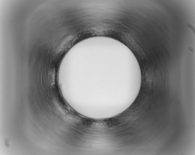 X0000102300694200808152018
