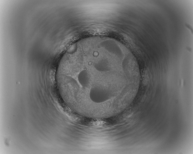 X0000102300695200808152018