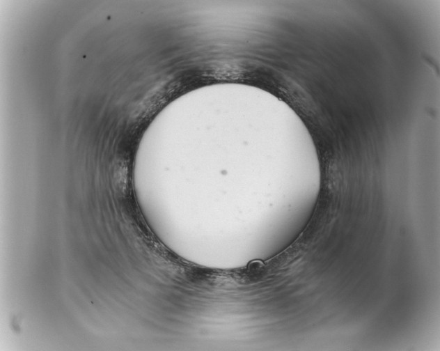 X0000102300697200808152018