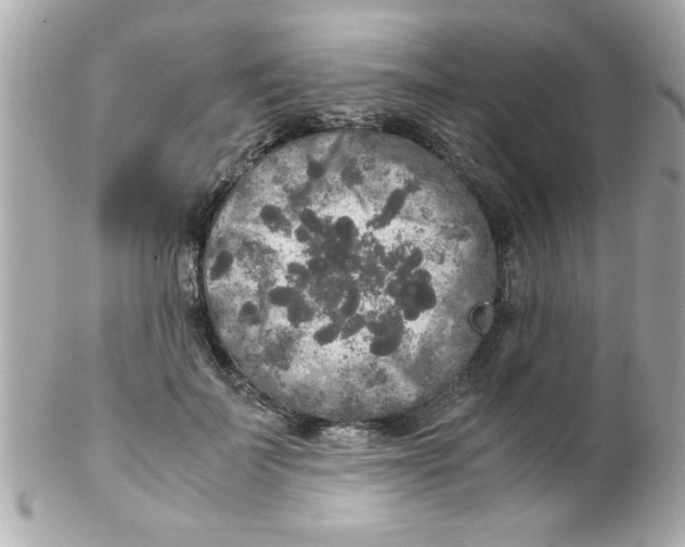 X0000102300699200808152018