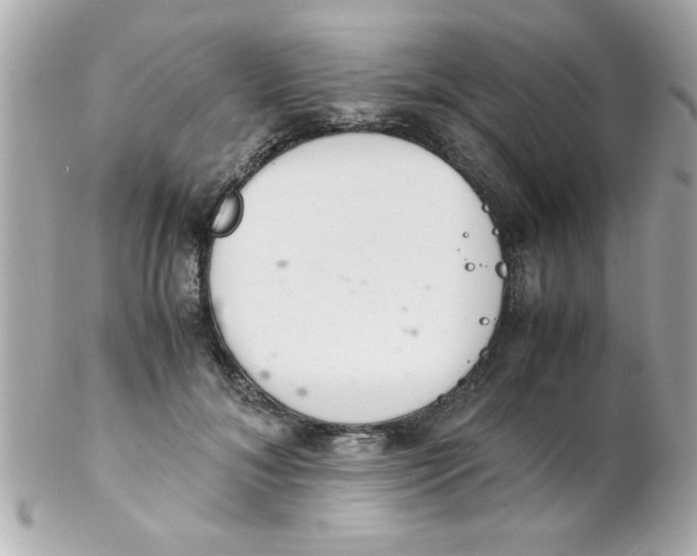 X0000102300700200808152018