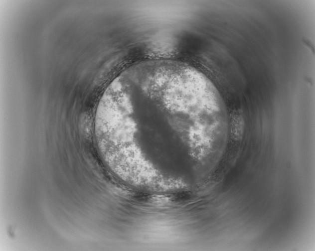 X0000102300701200808152018