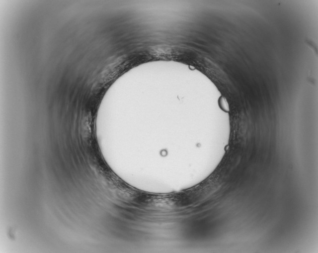 X0000102300702200808152018