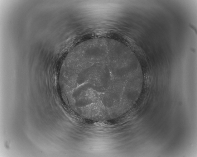 X0000102300703200808152018
