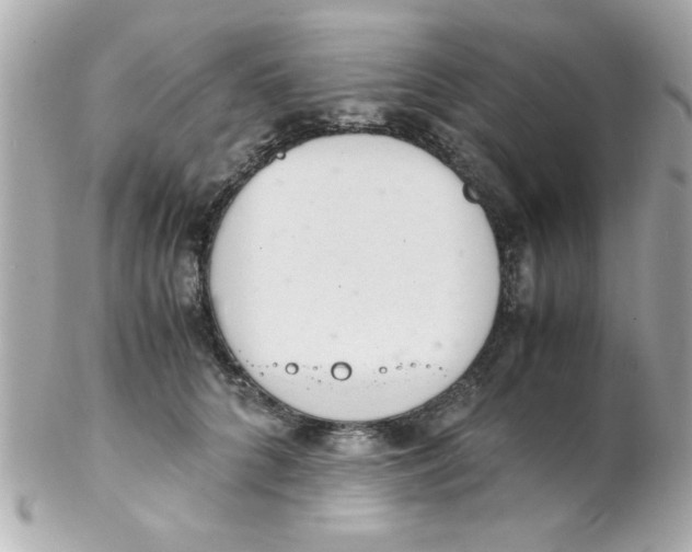 X0000102300704200808152018
