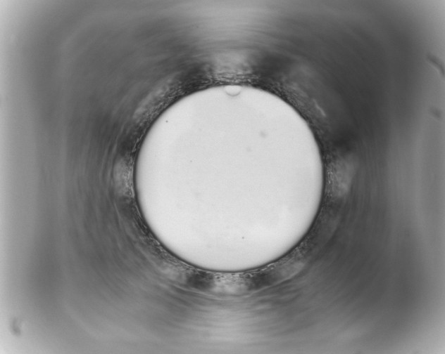 X0000102300705200808152018