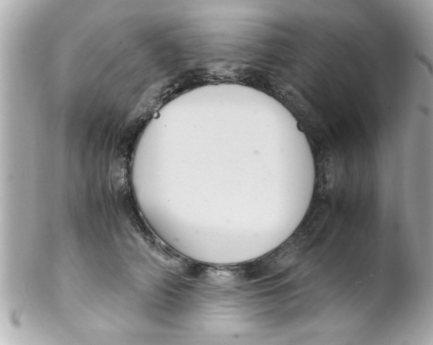 X0000102300706200808152018