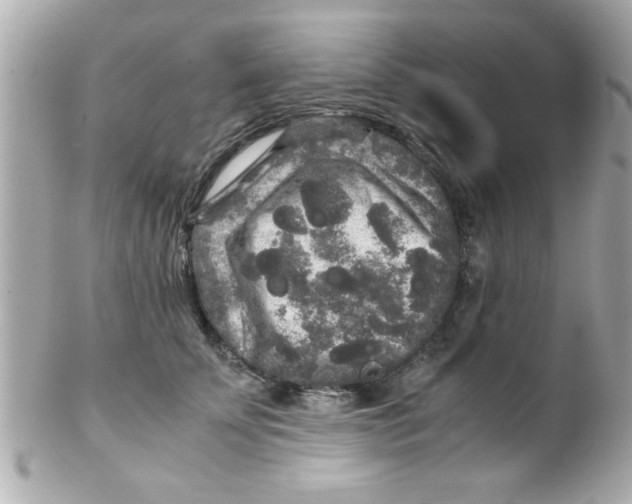 X0000102300707200808152018