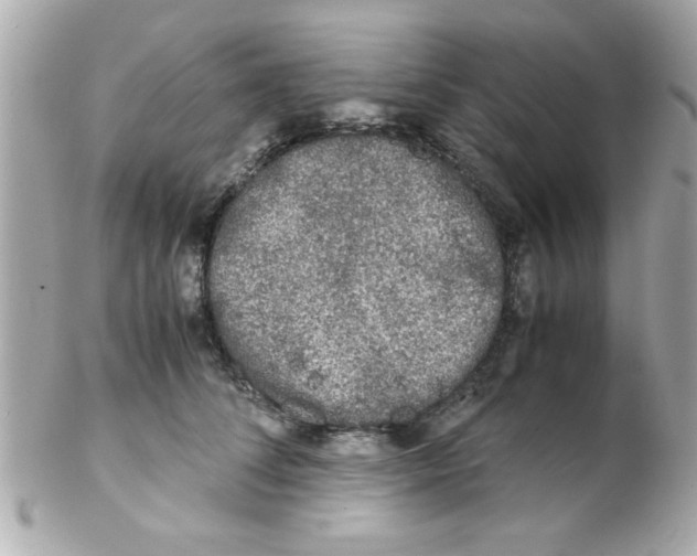 X0000102300708200808152018