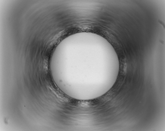 X0000102300710200808152018